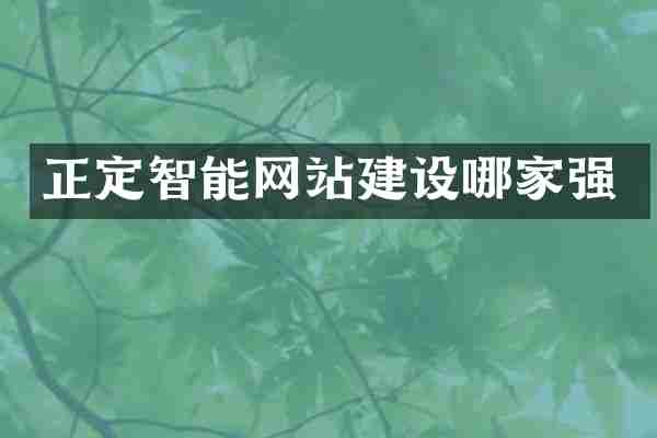 正定智能网站建设哪家强
