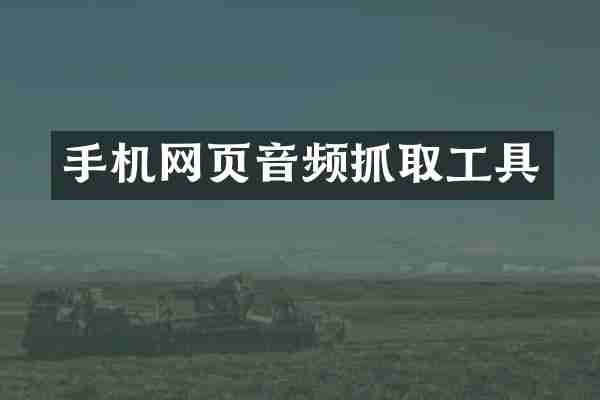 手机网页音频抓取工具