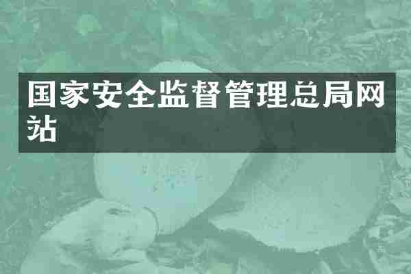 国家安全监督管理总局网站