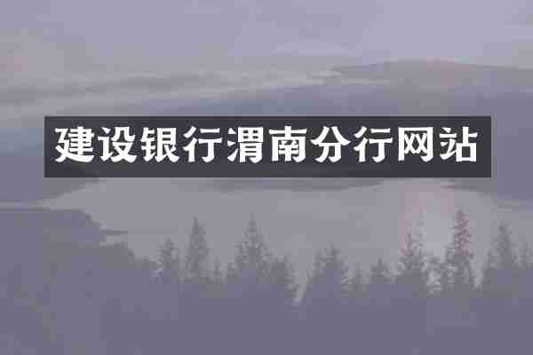 建设银行渭南分行网站