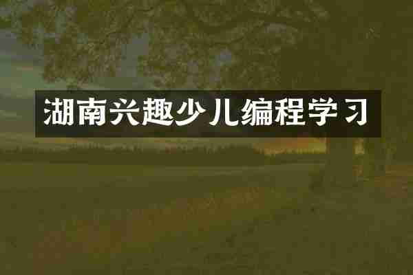 湖南兴趣少儿编程学习