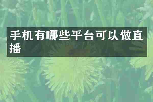 手机有哪些平台可以做直播