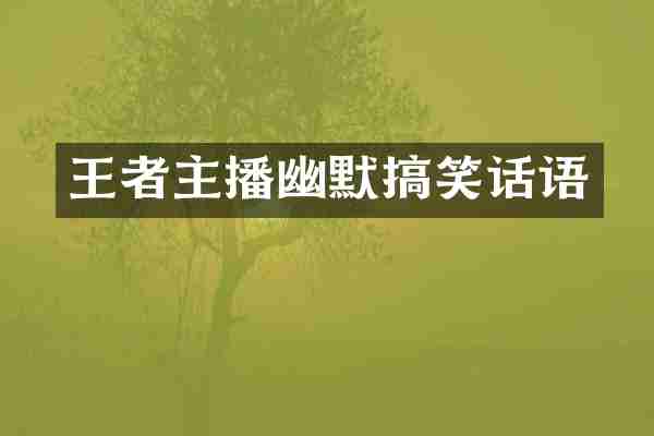 王者主播幽默搞笑话语