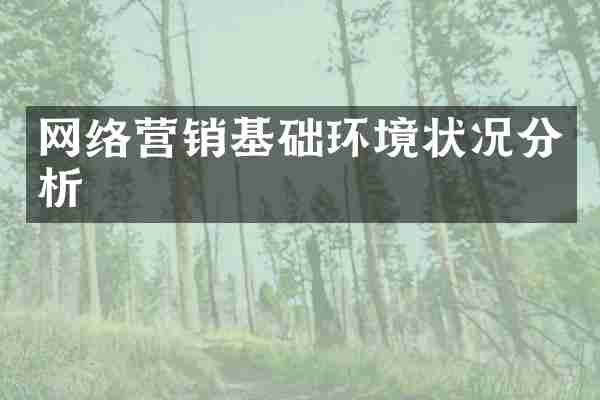 网络营销基础环境状况分析