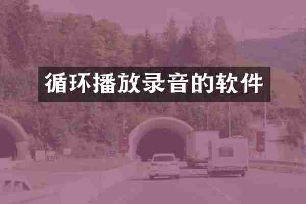 循环播放录音的软件