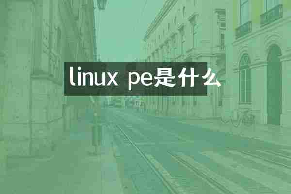 linux pe是什么