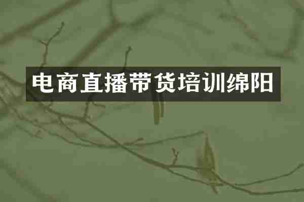电商直播带货培训绵阳