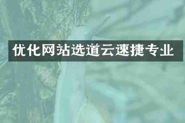 优化网站选道云速捷专业
