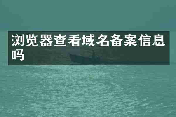 浏览器查看域名备案信息吗