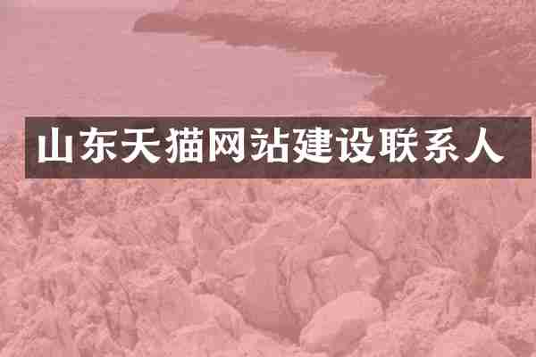 山东天猫网站建设联系人