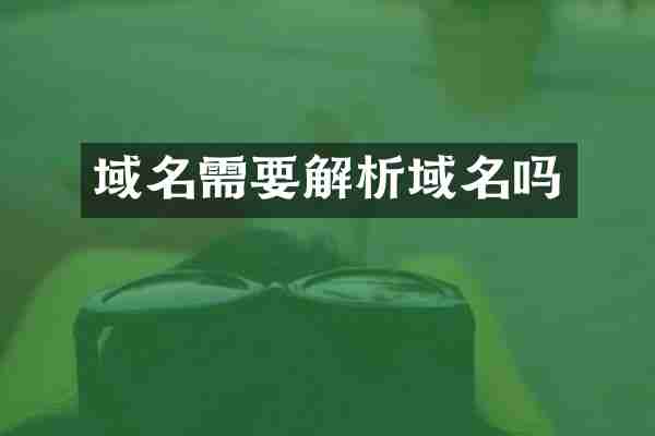域名需要解析域名吗