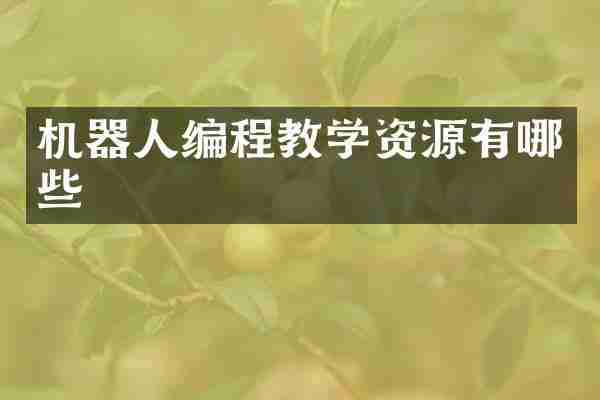 机器人编程教学资源有哪些