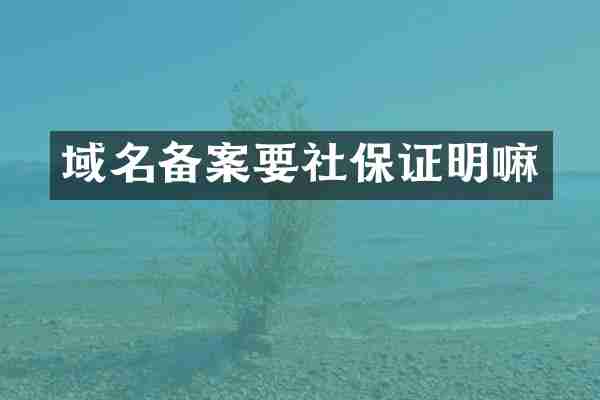 域名备案要社保证明嘛
