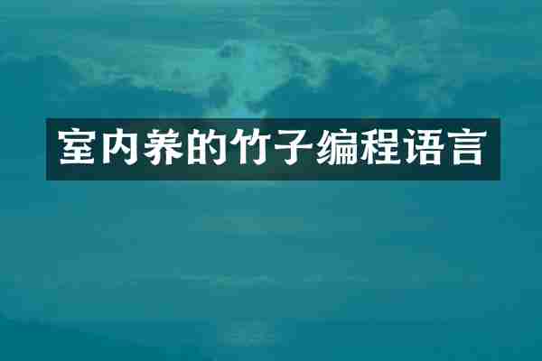 室内养的竹子编程语言