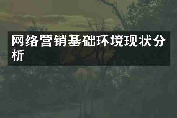 网络营销基础环境现状分析