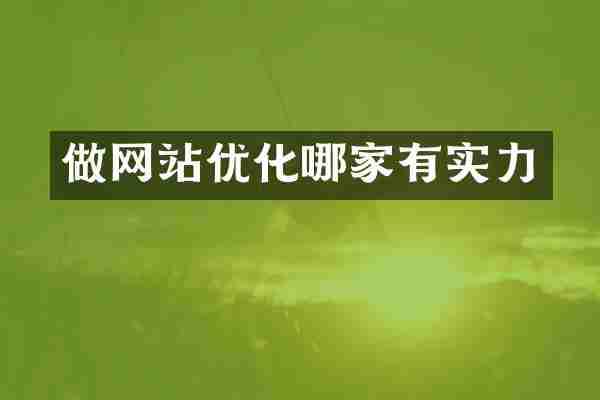 做网站优化哪家有实力