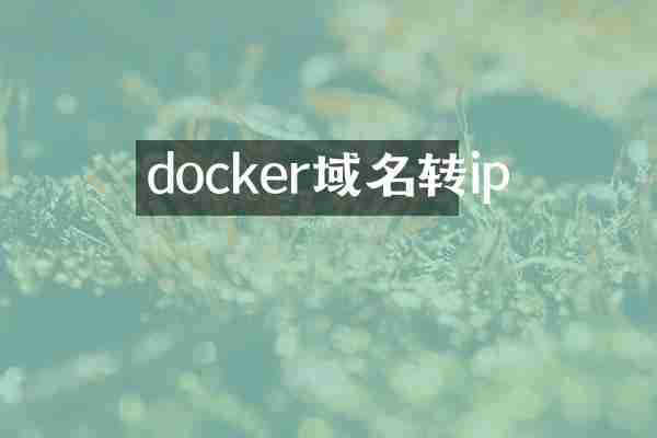 docker域名转ip