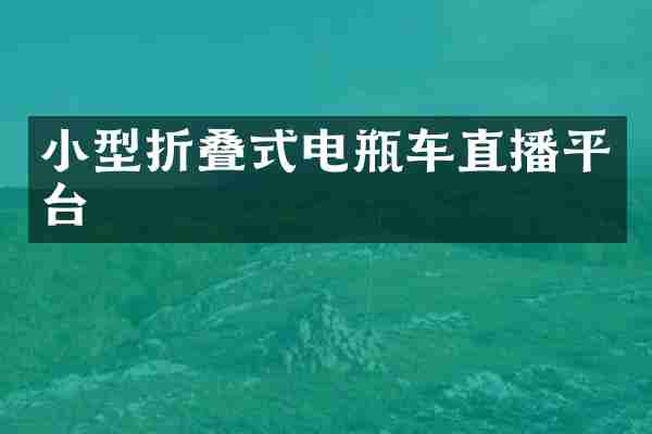 小型折叠式电瓶车直播平台
