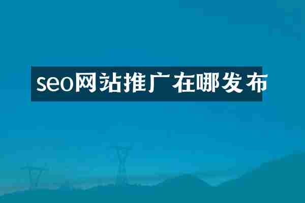 seo网站推广在哪发布