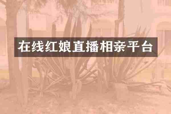 在线红娘直播相亲平台