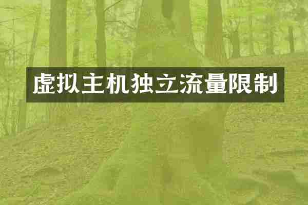 虚拟主机独立流量限制