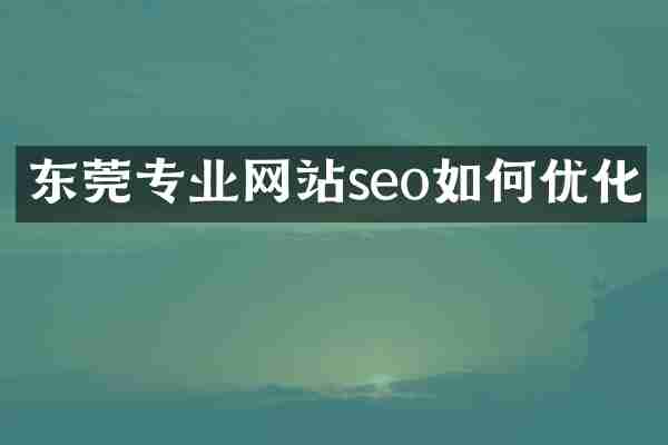 东莞专业网站seo如何优化