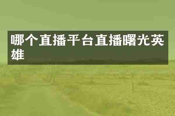 哪个直播平台直播曙光英雄