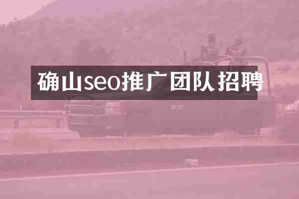 确山seo推广团队招聘