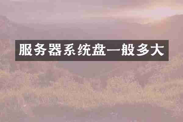服务器系统盘一般多大