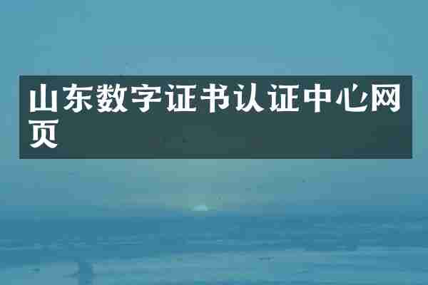 山东数字证书认证中心网页
