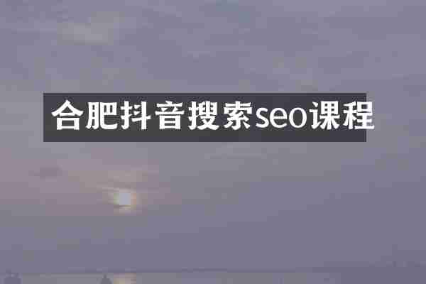 合肥抖音搜索seo课程