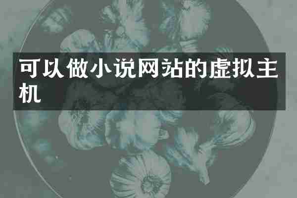 可以做小说网站的虚拟主机