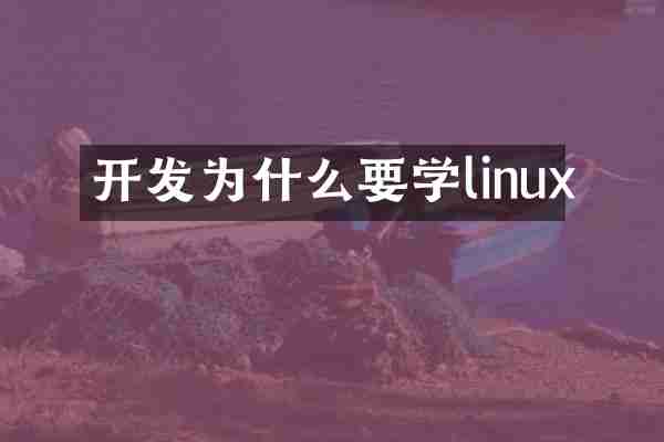 开发为什么要学linux