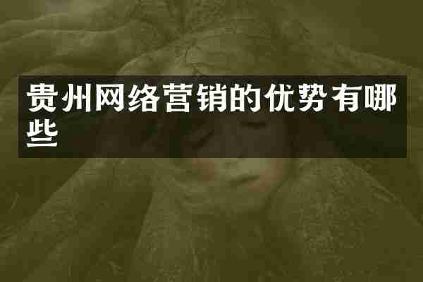 贵州网络营销的优势有哪些