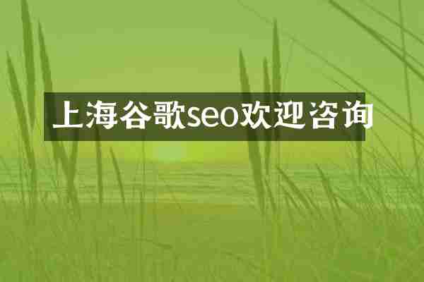 上海谷歌seo欢迎咨询