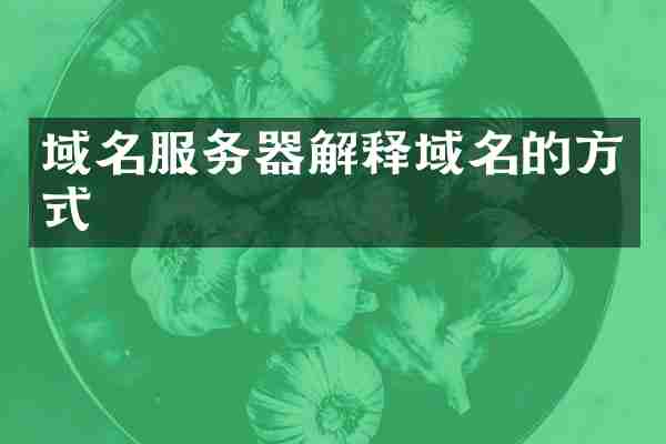 域名服务器解释域名的方式