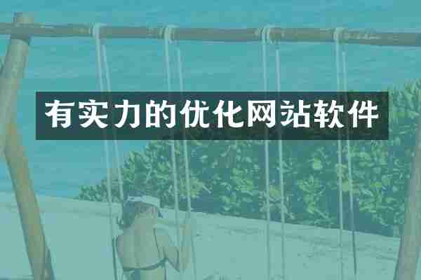 有实力的优化网站软件