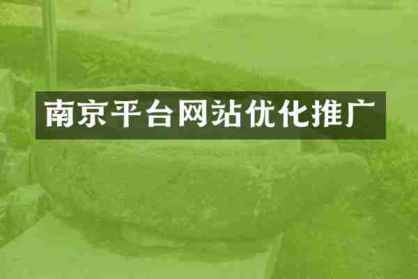 南京平台网站优化推广