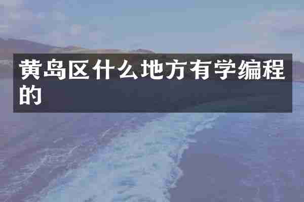 黄岛区什么地方有学编程的