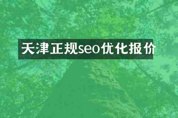 天津正规seo优化报价