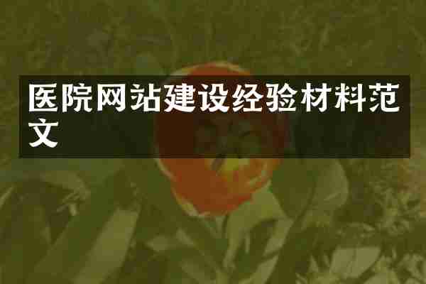 医院网站建设经验材料范文