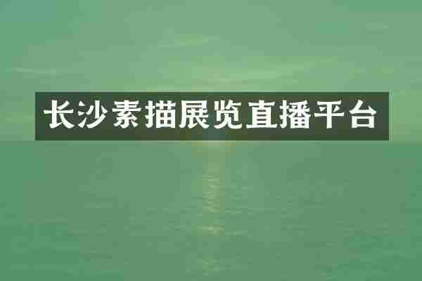 长沙素描展览直播平台