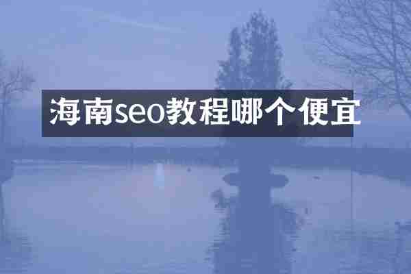 海南seo教程哪个便宜