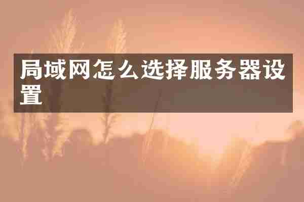 局域网怎么选择服务器设置
