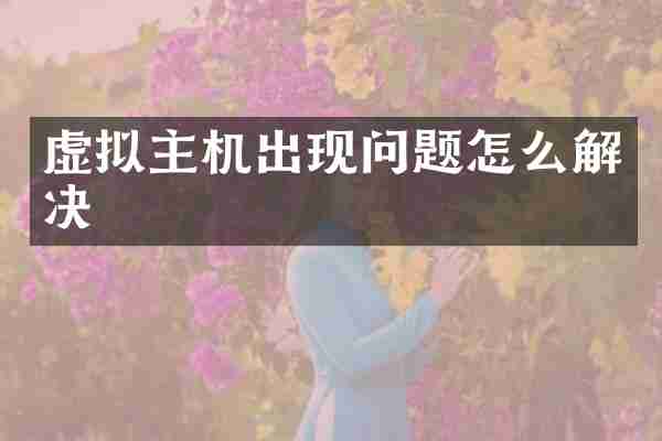 虚拟主机出现问题怎么解决