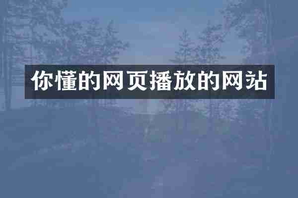 你懂的网页播放的网站