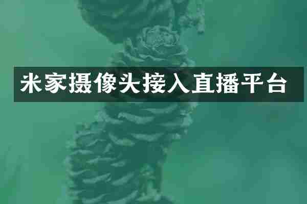 米家摄像头接入直播平台