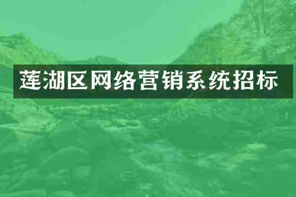 莲湖区网络营销系统招标