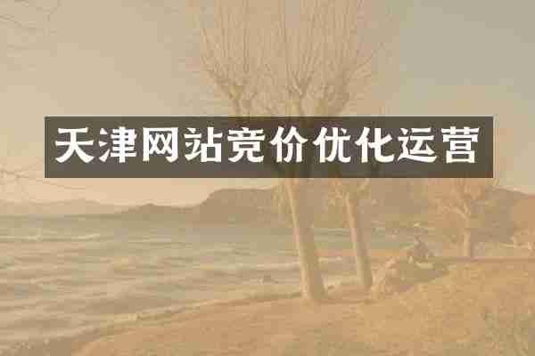 天津网站竞价优化运营