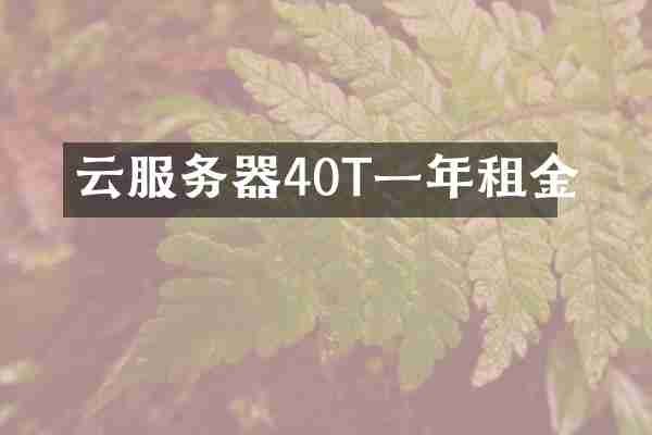 云服务器40T一年租金